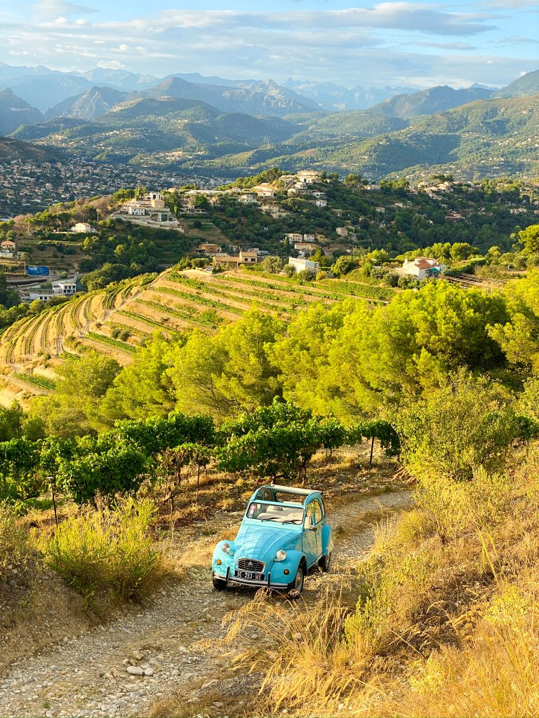 overview nice vineyards with blue 2cv citroen car