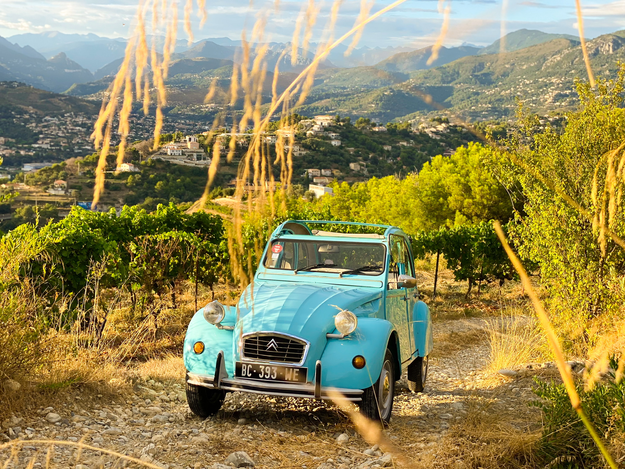 2cv citroen in nice vineyards bellet